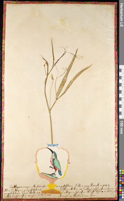 LE 01092358