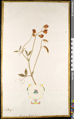 LE 01092362