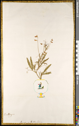 LE 01092365