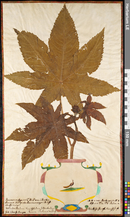 LE 01092372