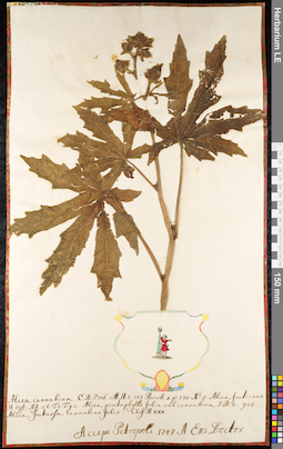 LE 01092396