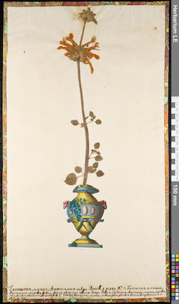 LE 01092404