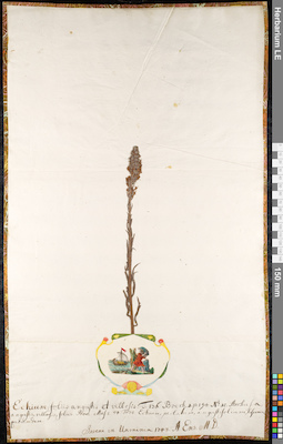 LE 01092406