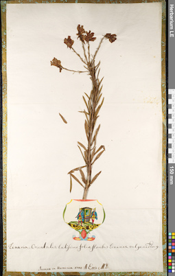 LE 01092414