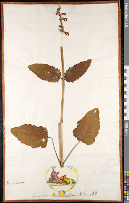LE 01092421