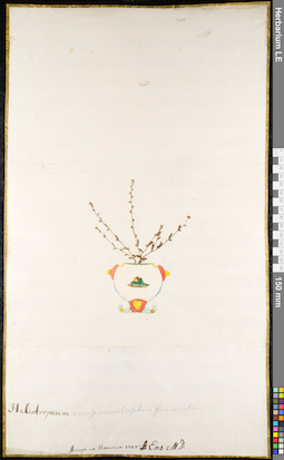 LE 01092422