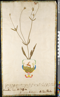 LE 01092428