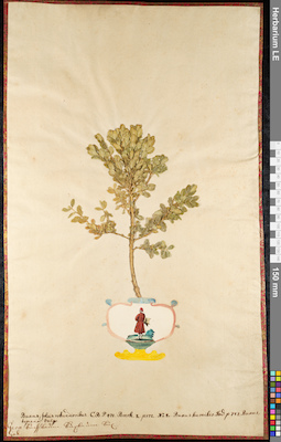 LE 01092433