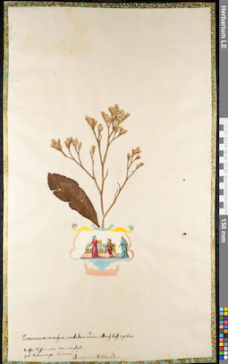 LE 01092448