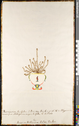LE 01092454