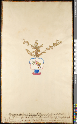LE 01092455