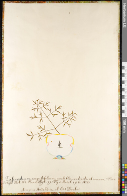 LE 01092462