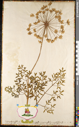 LE 01092463