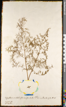 LE 01092464