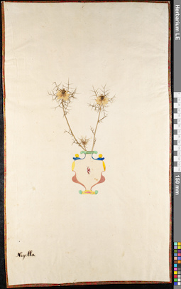 LE 01092485