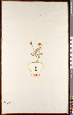 LE 01092489