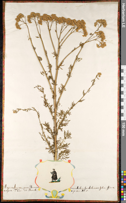 LE 01092523