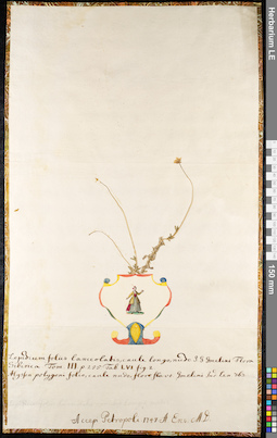 LE 01092544
