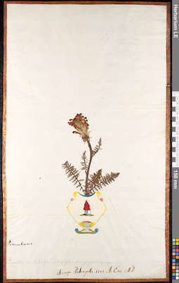 LE 01092549