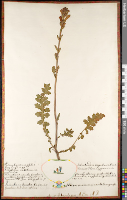 LE 01092553