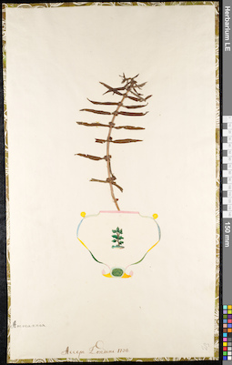 LE 01092556