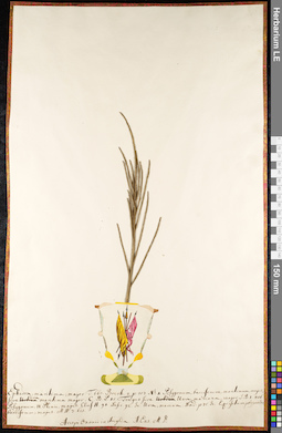 LE 01092557