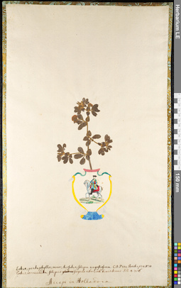 LE 01091124