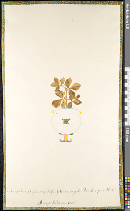 LE 01091125