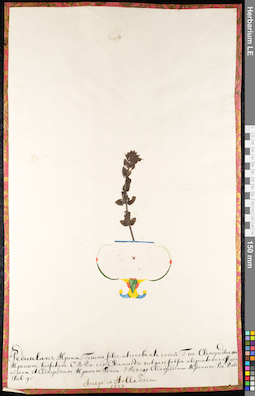 LE 01091187