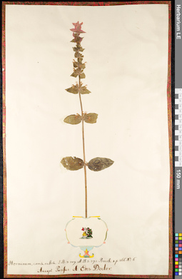 LE 01091195