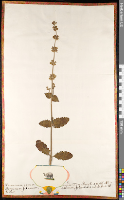 LE 01091197