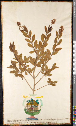 LE 01091202
