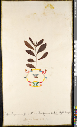 LE 01091211