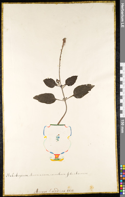 LE 01091228