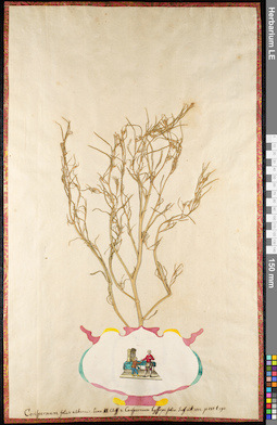 LE 01091399