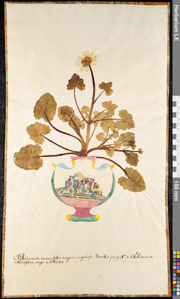 LE 01091409