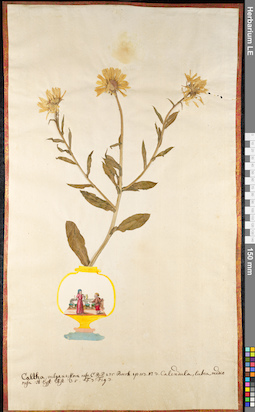 LE 01091415