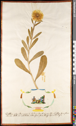 LE 01091416