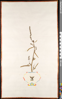 LE 01091438