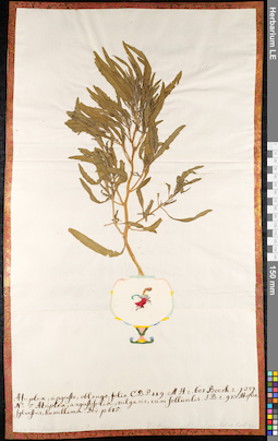 LE 01091439
