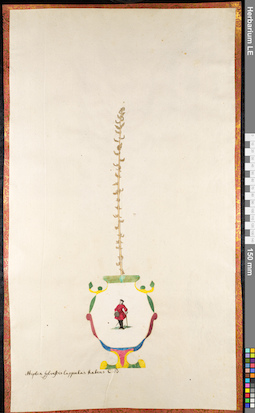 LE 01091441