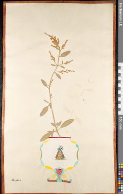 LE 01091443