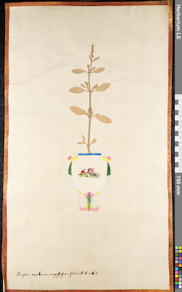 LE 01091444