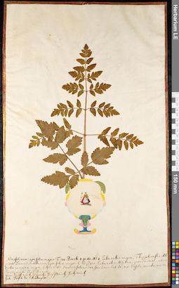 LE 01091450