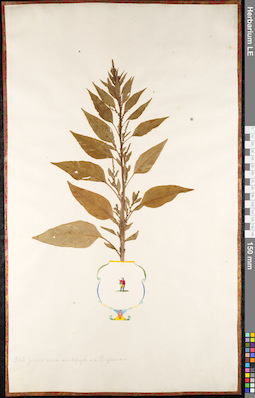 LE 01091453