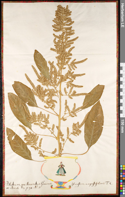 LE 01091454