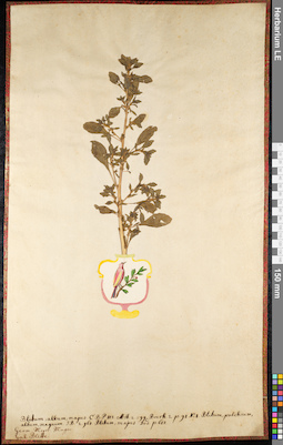 LE 01091458