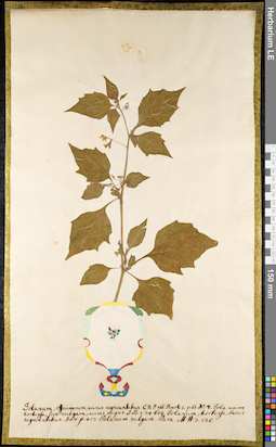LE 01091460