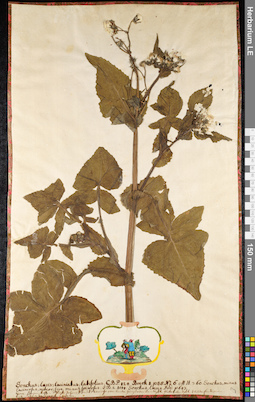 LE 01091474