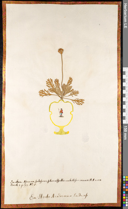 LE 01091476